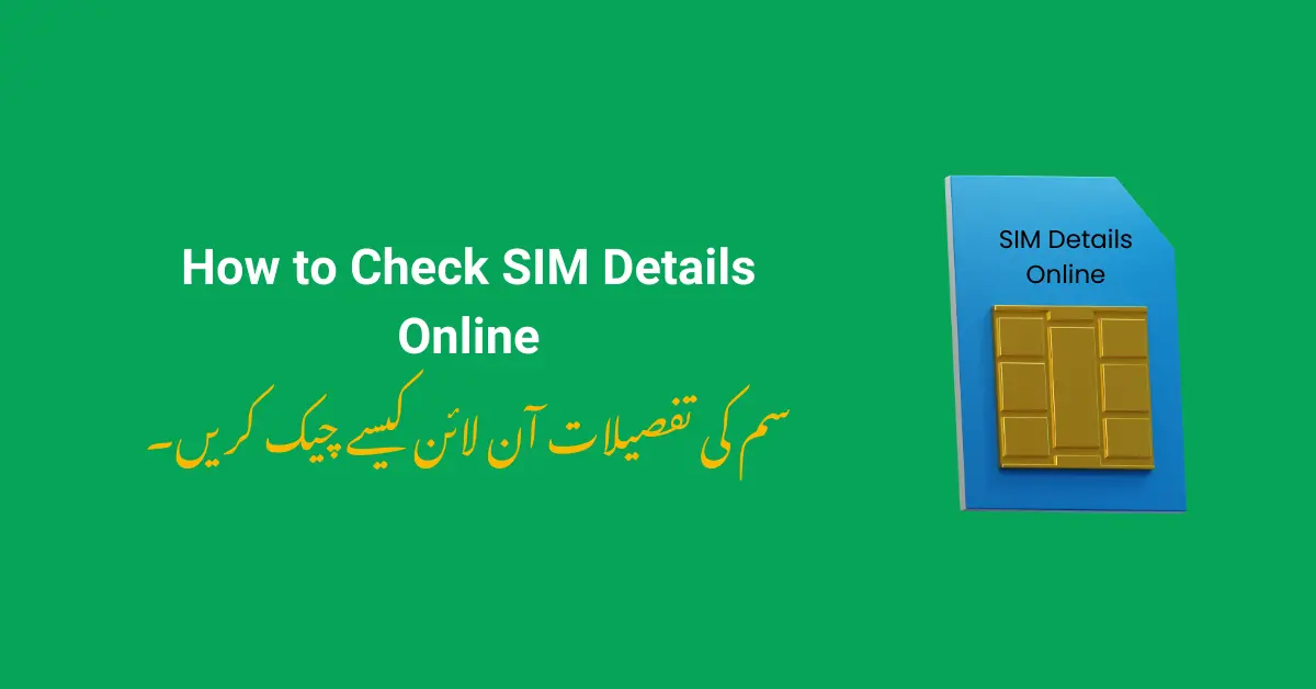 How to Check SIM Details Online